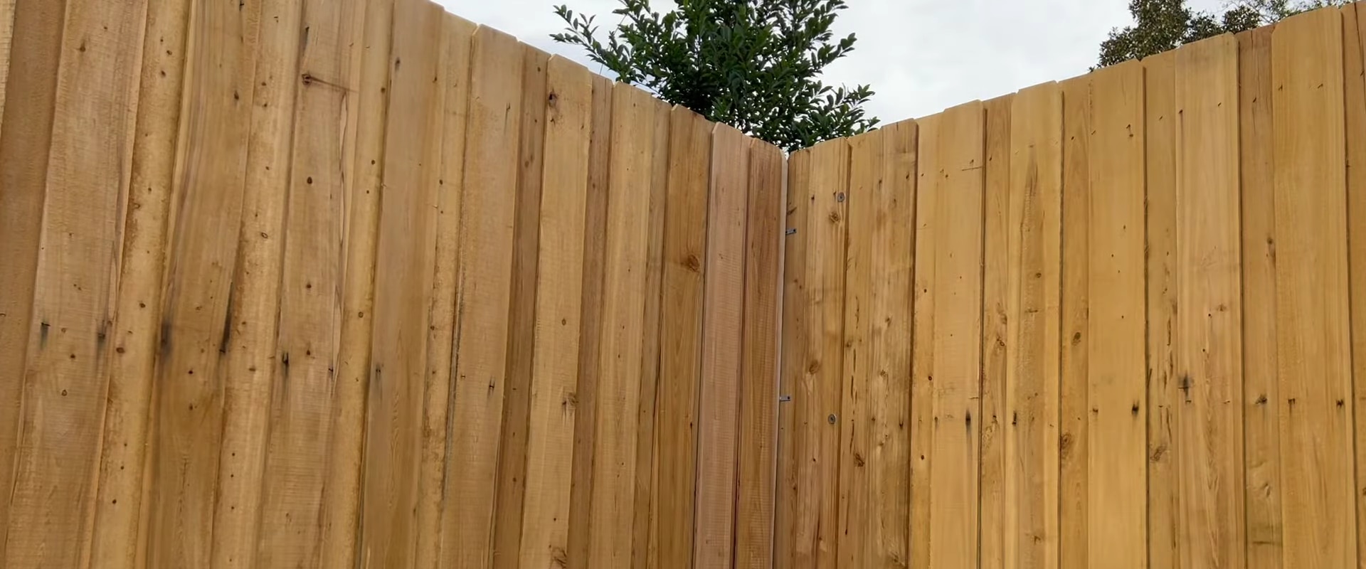 The Timeless Charm of Timber Fencing for Your Home in Hamilton