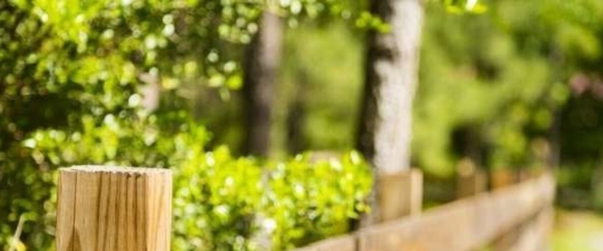 The Best and Most Affordable Fencing Options for Your Home