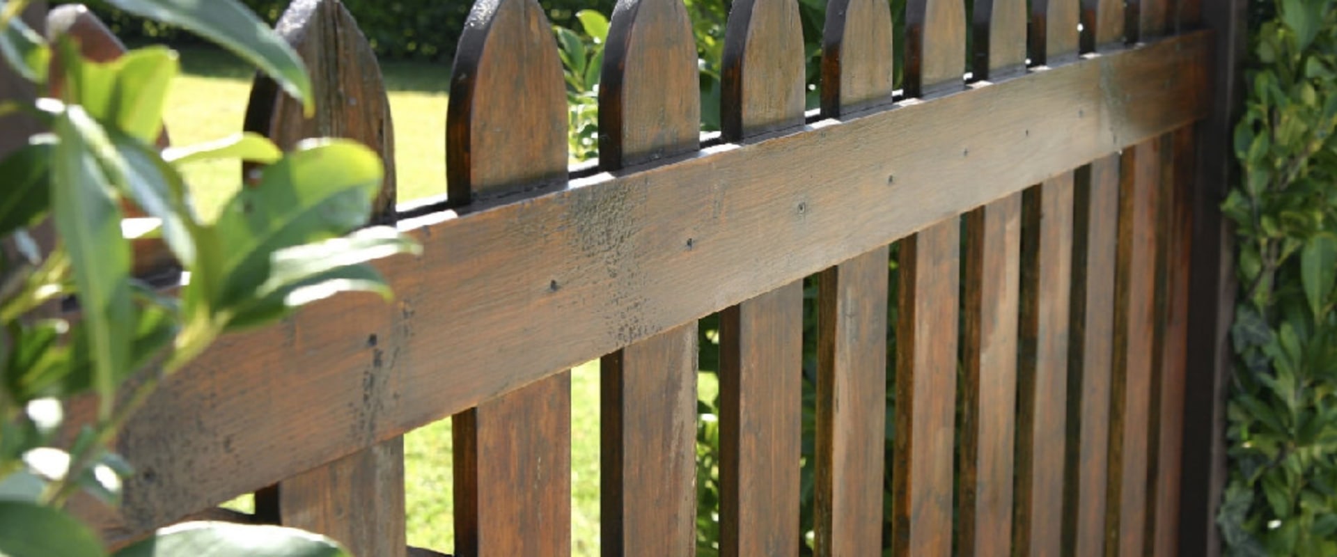 Timber Fencing Styles That Suit Tauranga’s Coastal Vibe