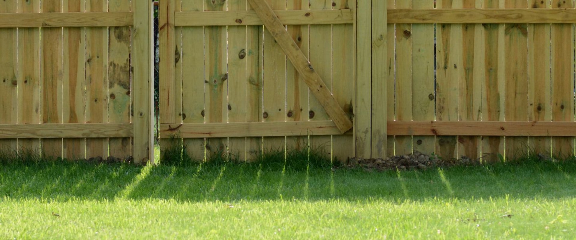 The Most Affordable Fencing Options for Your Home