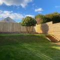 The Most Affordable Fencing Options for Your Property