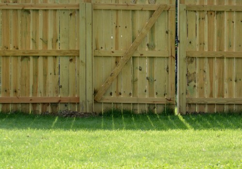 The Most Affordable Fencing Options for Your Home